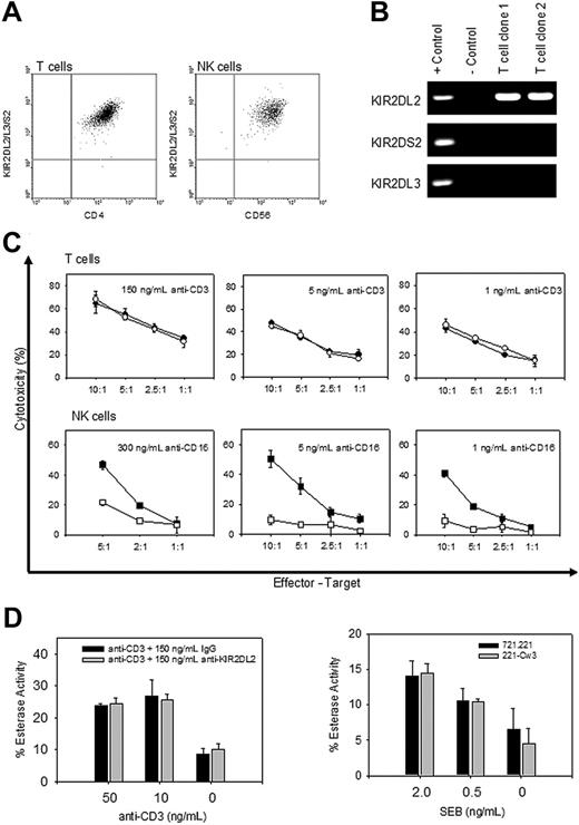 Figure 1. KIR2DL2 does not inhibit TCR-mediated cytotoxicity. (A) The level of KIR2DL2/2DL3/2DS2 expression on CD4+CD28– T cells and CD56+ NK clones were examined by FACS analysis. (B) KIR+ CD4+CD28– T-cell clones were tested for the presence of KIR2DL2, KIR2DL3, and KIR2DS2 mRNA by PCR. (C) The ability of KIR2DL2 to inhibit either T-cell–mediated (top panel) or NK cell–mediated (bottom panel) cytotoxicity was examined in a 4-hour cytotoxicity assay against anti-CD3 (•) and anti-CD3 + anti-KIR2DL2/2DL3/2DS2 (○) or anti-CD16 (▪) and anti-CD16 + anti-KIR2DL2/2DL3/2DS2 (□)–labeled P815 cells. Both anti-CD3 and anti-CD16 were tested over a wide dose range, and selected concentrations are shown. (D) The effect of KIR2DL2 on CD4+CD28– T cells on granule exocytosis was measured in 4-hour BLT release assay against either anti-CD3 and anti-CD3 + anti-KIR2DL2-coated P815 cells (left panel) or SEB-coated 721.221 and 721.221/HLA-Cw3 cells (right panel). Results are shown as mean ± SD of triplicate cultures.