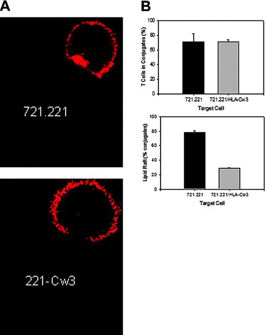 Figure 6. KIR2DL2 decreases immune synapse stability. (A) Lipid rafts were visualized with Alexa555-conjugated CTXβ (red) in KIR2DL2+ T cells pelleted with SEB-coated 721.221 or 721.221/HLA-Cw3 target cells. The conjugates were transferred to optical dishes, and the kinetics of rafts (red) disbanding in contact areas was monitored by confocal microscopy. A representative picture after 90 minutes is shown. At that time, the raft persisted in conjugates with MHC class I–negative cells (top panel) but had resolved in conjugates with HLA-Cw3–positive cells (bottom panel). (B) Cells were prepared and treated as described in panel A, and images of 10 fields were visualized with a 63 ×/1.4 oil-immersion objective lens. The percentage of T cells in conjugates with target cells (top panel) and the percentage of conjugates with lipid rafts at the contact zone (bottom panel) were determined. Results are shown as mean ± SD of 3 independent experiments.