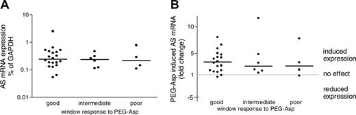 Figure 3. Relationship between asparagine synthetase (AS) mRNA expression induced by pegylated l-asparaginase (PEG-Asp) and clinical response. (A) Baseline AS mRNA expression levels. (B) PEG-Asp–induced changes in AS mRNA expression levels measured after 24 hours of in vivo exposure to PEG-Asp compared with baseline expression levels. Dots represent individual expression values; solid lines, the median expression value per group. For definition of clinical response, see Figure 1.