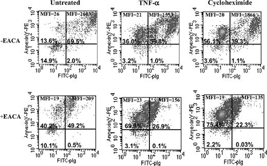 Figure 1. Plasminogen binding is stimulated on early apoptotic cells. U937 cells were either untreated or incubated with 30 ng/mL TNFα or 50 μg/mL cycloheximide for 18 hours at 37°C. To identify early apoptotic cells that specifically bound plasminogen, 3-color FACS analysis was performed with annexin V–phycoerythrin, PI, and FITC-plasminogen (0.2 μM) in the presence or absence of EACA (0.2 M). The cells were gated for size (forward scatter versus PI), and 3 nonoverlapping subpopulations were identified: viable, early apoptotic, and late apoptotic/necrotic. The early apoptotic cells were gated out and analyzed for FITC-plasminogen binding in the presence or absence of EACA, and only the early apoptotic cells are shown here. Because TNFα- and CHX-induced cells resulted in a larger population of early apoptotic cells, there are varying numbers of cells in each condition, but the total number of cells initially analyzed was 20 000. The percentage of early apoptotic cells in each quadrant is shown. MFI indicates mean fluorescence intensity.