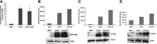 Figure 1. Comparison of BCR-ABL transcripts and BCR-ABL, P-Tyr, and P-CrKL protein expression levels between MNC, CD34+, and CD34+CD38– CML cells. (A) The expression level of BCR-ABL was determined by quantitative RT-PCR and normalized to cell number used in the assay. Five patient samples were tested in this way and the results combined. The figure shows the expression level of BCR-ABL in the sorted cell populations as a product of the MNC population level (P = .016 for MNC versus CD34+ cells and P = .031 for MNC versus CD34+CD38– cells). These results show that the expression levels differ by at least 10-fold between the MNC population and the 2 stem cell populations. There was no significant difference between the CD34+ and the CD 34+CD38– populations. BCR-ABL (B), P-Tyr (C), and P-CrKL (D) protein expression levels in total MNCs and CD34+ and CD34+CD38– CML cells from 3 newly diagnosed chronic phase CML patients were assessed by Western blotting. Protein expression was quantified using relative densitometry (bar charts above blots). These experiments showed that BCR-ABL, P-Tyr, and P-CrKL were highest in the most primitive CD34+CD38– subpopulation and lowest in the mature total MNC fraction. RD indicates relative density.