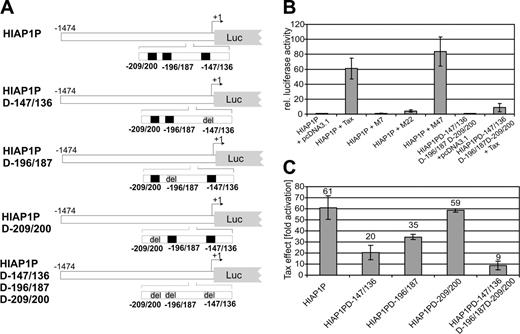 Figure 3. Transactivation of the HIAP-1 promoter by the HTLV-1 Tax protein. (A) Overview of the HIAP-1 promoter and deletion variants. The potential NF-κB binding sites are indicated in black, deletions in gray. (B) Tax transactivation of the HIAP-1 promoter. Jurkat T lymphocytes were cotransfected with the HIAP-1 promoter (HIAP1P) or the mutant (HIAP1PD-147/136D-196/187D-209/200), in which 3 NF-κB sites were deleted, together with TaxWT, Tax mutants (M7, M22, and M47), or empty expression vector (pcDNA3.1). Luciferase activity was determined and normalized to the negative control (HIAP1P + pcDNA3.1). The columns represent the mean of 3 independent experiments and standard deviation. (C) Tax transactivation of the NF-κB site deletion variants of the HIAP-1 promoter. Indicated promoter constructs were transfected in the presence and absence of Tax, luciferase activity was analyzed, and the fold activation of each construct by Tax was determined. The bars represent the mean of 2 independent experiments; error bars indicate the mean error.