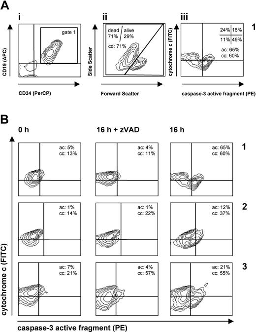 Figure 1. Quantification of distinct patterns of apoptosis signaling in leukemia cells. Primary leukemia cells from individual patients were analyzed before (0 h) and after 16 hours in culture with or without zVAD-fmk in triplicate. In order to quantify apoptosis signaling in leukemia cells, cells were stained with antibodies against leukemia markers CD19 (or CD10) and CD34 and against cytoplasmic caspase-3 and cytochrome c. (A) Gating strategy and quantification of apoptosis events. In order to identify the leukemia cell population and to exclude debris, a gate was set on the population positive for leukemia marker (i, gate 1). In this gate, cell death (cd) was assessed by forward/side scatter criteria (ii). In the same gate (gate 1), cytochrome c release (cc) was measured simultaneously with caspase-3 activation (ac) (iii). Cells with activated caspase-3 were quantified as percent of cells in the right (top + bottom) quadrants (ac = 65% in the example shown). Cells with released cytochrome are identified by reduction of the cytochrome c signal and calculated as percent of cells in the bottom (left + right) quadrants (cc = 60% in the example shown). (B) Distinct patterns of apoptosis signaling in 3 prototype leukemia patient samples (samples 1-3). Flow cytometric plots depict cytochrome c versus caspase-3 staining in individual samples, and mean values of triplicate measurements are indicated. From these measurements, the extent of cytochrome c release (caspase-dependent, ccdep; caspase-independent, ccindep; total, cctotal) and of caspase-3 activation (actotal) was calculated as described in “Patients, materials, and methods.” The following values are for examples A, B, and C: for ccindep, –2% (t test not significant compared with control 0 h), 8% (P < .01), and 36% (P < .01), respectively; for ccdep, 49% (P < .01), 15% (P < .01), and –2% (not significant), respectively; for cctotal (ccindep + ccdep), 47% (P < .01), 23% (P < .01), and 34% (P < .01), respectively; and for actotal, 61% (P < .01), 11% (P < .01), and 17% (P < .01), respectively. Calculated differences between percentages of actotal and cctotal (CRAC; “Results”) are +14%, –12%, and –17%, thus indicating proficient (case A) and deficient (cases B-C) apoptosis signaling in leukemia cells.