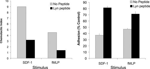 Figure 4. Lyn inhibition reduces fMLP-induced migration and increases cell adhesion. HL-60 cells were differentiated for 3 days with 1.25% DMSO into neutrophil-like cells. Prior to stimulation, cells were pretreated for 2 hours with a Lyn-specific peptide (1 μM) or control buffer. HL-60 cells were then stimulated in the presence or absence of peptide with fMLP (100 nM) or SDF-1 (100 ng/mL) and a chemotaxis (left panel) or adhesion assay on ICAM-1–coated plates (right panel) was performed. Data are representative of 3 independent experiments done in triplicate.
