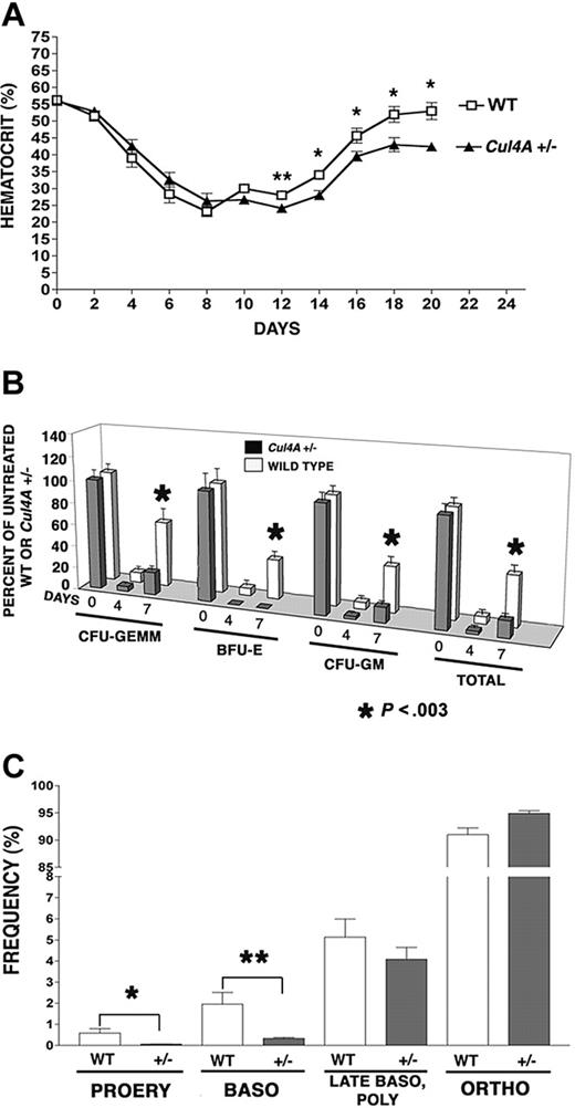 Figure 1. The recovery from 5-FU–induced stress is delayed in Cul4A heterozygous mice. (A) Thirteen Cul4A+/– and 12 wild-type littermates were treated with 150 mg/kg 5-FU and hematocrits were measured 0 to 20 days later. For wild-type (□) and Cul4A+/– (▴) mice, the mean percentages ± SEM are plotted for the results from 3 independent experiments. At day 12, **P = .03, and for days 14 to 20, *P ≤ .04. For days 0 to 16, n = 6-12 mice, and for days 18-20, n = 3-5 mice. (B) Cul4A+/– and wild-type littermates were treated with 5-FU as described in panel A, bone marrow was isolated from femurs 0, 4, or 7 days later and cultured for 7 days. BFU-Es, CFU-GEMMs, and granulocyte-macrophage colony-forming units (CFU-GMs), as well as total colonies, were counted, and the number of progenitors per femur was calculated and normalized with respect to untreated control mice of the same genotype (100%). The means (± SEM) for Cul4A+/– and wild-type animals from 3 independent experiments are shown, where for the 0, 4, and 7 day time points, n = 13, 5, and 9 (respectively) each for wild-type (□) and Cul4A+/– (▦) animals. For day 7, *P < .003. (C) Six Cul4A+/– and 6 wild-type littermates were treated with 5-FU as described, and 7 days later bone marrow was isolated from femurs, stained with anti-Ter119 and anti-CD71 antibodies, and analyzed by flow cytometry to quantify the frequencies of proerythroblasts (PROERY), basophilic erythroblasts (BASO), late basophilic and polychromatophilic erythroblasts (LATE BASO, POLY), and orthochromatophilic erythroblasts (ORTHO) with respect to total erythroid precursors (see “Materials and methods”). The means (percent ± SEM) are graphed for the results from 2 independent experiments. For proerythroblasts (PROERY), *P = .03 and for basophilic erythroblasts (BASO), **P = .01.