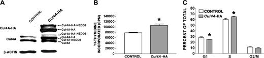 Figure 3. Cul4A overexpression promotes proliferation in proerythroblasts. (A) Protein lysates were prepared from empty vector control or Cul4A-HA cells, and 10 μg of each was analyzed by immunoblot probed with anti-HA monoclonal antibody (top), anti-Cul4A antiserum (middle), or antiactin monoclonal antibody (bottom). The various forms of Cul4A are indicated with arrows on the right. An immunoblot representative of 3 independent experiments is shown. (B) Cul4A-HA and empty vector control cells were plated in triplicate (2.5 × 104 cells/well) and cultured in 96-well plates in the presence of 2 U/mL Epo and 50 ng/mL SCF for 48 hours, incubated with tritiated thymidine for 8 hours, and incorporated tritiated thymidine was measured. The mean incorporated tritiated thymidine of triplicate samples was determined for each experiment, and the means (cpm ± SEM) of these values from 3 independent experiments are graphed. *P = .04. (C) Cul4A-HA and empty vector control cells were plated at 2.5 × 105 cells/mL, grown for 24 hours, and the proportion of cells in each phase of the cell cycle was determined by propidium iodide staining and flow cytometric analysis. The means (± SEM) of 3 independent experiments are graphed. For cells in G1 and S phase, *P < .05.