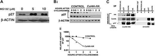 Figure 6. Cul4A promotes the proteasome-dependent degradation of p27. (A) Proliferating G1E-ER4 cells were treated with proteasome inhibitor (5 or 10 μM MG132) for 4 hours. Cells were harvested, protein lysates prepared, and 10 μg total protein for each sample was analyzed by immunoblot probed with antibodies that recognize p27 or actin. Actin was used as a loading control. Representative results of 2 independent experiments are shown. (B) Cul4A-HA and empty vector control cells were induced to differentiate for 24 hours, 3 × 106 cells/100-mm dish were treated with 10 μg/mL cycloheximide for the indicated times, cells were harvested, lysates were prepared, and 10 to 30 μg total lysate for each sample was analyzed by immunoblot and probed with anti-p27 or anti–β-actin antibodies. Actin was used as a loading control. For Cul4A-HA (▴) and empty vector control cells (▪), the amount of p27 at each time point was normalized to the amount of p27 at 0 hours (100%). Because significantly less p27 is present in Cul4A-HA cells compared to the control, 2 different exposures of the same anti-p27 immunoblot are shown. Representative results from 2 independent experiments are shown. (C) For lanes 1-4, Cul4A-HA cells were induced to differentiate for 24 hours, cells were harvested, protein lysate was prepared, and for each sample, 1 mg total protein lysate was precleared with protein A and protein G Sepharose beads, followed by immunoprecipitation with anti-p27, anti-Cul4A, or anti-HA antisera (all from rabbit) and incubation with protein A and protein G Sepharose beads. Immunoprecipitated proteins were eluted with sample buffer and analyzed by immunoblot probed with antibodies that recognize HA, Cul4A, or p27. Immunoprecipitation with protein A and protein G Sepharose beads alone was used as a negative control. For lanes 5-9, G1E-ER4 cells were induced to differentiate for 24 hours, protein lysate was prepared, immunoprecipitations with anti-HA, anti-p27, or anti-Cul4A antisera were performed as described for lanes 1-4. Immunoprecipitated proteins were eluted with sample buffer and analyzed by immunoblot probed with antibodies that recognize Cul4A or p27. Immunoprecipitations with either normal rabbit IgG, protein A and protein G Sepharose beads alone, or rabbit anti-HA antiserum (antiserum against an unrelated protein in these cells) were used as negative controls, all of which failed to immunoprecipitate either p27 or Cul4A, indicating that the anti-p27 and anti-Cul4A antibodies interact specifically with their respective antigens. Representative results from 3 independent experiments are shown.