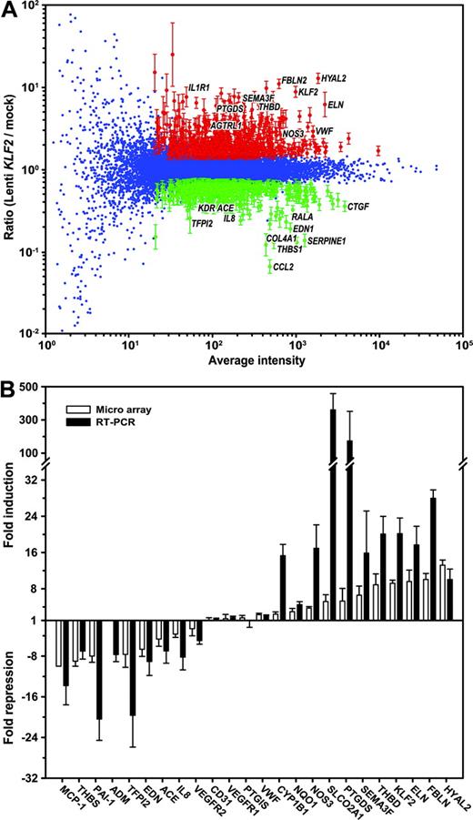 Figure 1. Gene expression profiling of Lenti-KLF2– and Lenti-mock–transduced HUVECs. Microarray dye-swap hybridization analysis was performed comparing the gene expression profiles of 5 independent HUVEC isolates that were analyzed at 7 days after transduction with the Lenti-KLF2 virus and Lenti-mock virus. The composite plot of the 10 hybridizations is shown in panel A. The Loessnormalized weighted average hybridization signal intensity on the horizontal axis is plotted against the 10-base log of the ratio of Lenti-KLF2 over Lenti-mock. The genes with a statistically significant fold change (P < .01; according to the Rossetta Resolver error models and statistical evaluation) are shown in red (induced by KLF2) and green (repressed by KLF2) with error bars derived from the Rosetta Resolver error model. (B) Real-time semiquantitative RT-PCR verification of the microarray data on a selection of the genes presented in Tables 1 and 2. The RT-PCR was performed on the same cDNA preparations that were used for the microarray hybridization (n = 5). The data are represented as the mean ± SEM fold induction or fold repression compared with the Lenti-mock controls (▪). Also, the fold change in expression derived from the microarray data (□) is included for comparison.