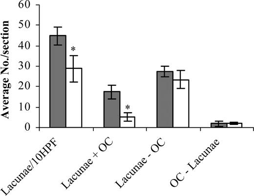 Figure 3. Imatinib decreases lacunae formation and the number of lacunae containing OCs in BALB/c mice. Adult Balb/c mice were administered 75 mg/kg imatinib per day for 8 weeks. Parrafin-embedded sections of mouse femur were enumerated for the number of lacunae over 10 fields of view (Lacunae/10HPF), the number of lacunae containing OCs (Lacunae + OC), the number of lacunae without OCs (Lacunae - OC) and the number of OCs not present in lacunae (OC - Lacunae) in control (▦) and imatinib treated (□) mice. Results are representative of averaged data from 5 mice. *P < .05 (relative to the control). Error bars represent the SEM.