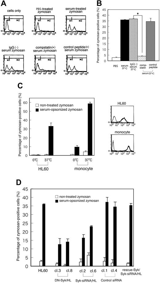 Figure 4. Transfer of DN-Syk or Syk-siRNA results in the inhibition of phagocytosis. Macrophage-like differentiated Day3-HL60 cells were incubated with zymosan particles that were pretreated with PBS, serum, IgG-removed serum, serum containing compstatin (10 μM), or the control peptide to compstatin (10 μM) for 30 minutes at 37°C and then analyzed by flow cytometry to detect phagocytosis of fluorescent zymosan. (A) Representative histogram patterns of the treated cells by flow cytometry are shown. M2 region includes zymosan-positive cells. (B) The percentage of zymosan-positive cells (percentage of M2 region as shown in panel A) in parental HL60 cells incubated with zymosan particles that were pretreated with serum, IgG-removed serum, serum containing compstatin, or the control peptide to compstatin is presented. The mean values and SD of triplicate experiments are shown. The statistically significant difference was assessed by the Student t test; *P < .05. (C) The percentage of zymosan-positive cells (percentage of M2 region shown in panel A) in HL60 cells and primary monocytes is presented. Cells were treated with serum-opsonized or nonopsonized fluorescent zymosan for 10 minutes at 0°C or 37°C, washed with PBS, and further incubated for 10 minutes at 37°C. The mean values and SD of triplicate experiments are shown (left panel). Cell-surface expression of CR3 (integrin αMβ2) on macrophage-like differentiated Day3-HL60 cells and primary monocytes was analyzed by flow cytometry with anti-CR3 monoAb (thick line) or with control mouse IgG (thin line; right panel). (D) The percentage of zymosan-positive cells (percentage of M2 region shown in panel A) in HL60 cells and the mutant clones treated with serum-opsonized or nonopsonized fluorescent zymosan for 30 minutes at 37°C is presented. The mean values and SD of triplicate experiments are shown.