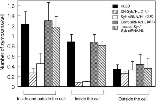 Figure 5. Syk is essential for the engulfment of zymosan but not for its attachment to CR3. Macrophage-like differentiated Day3-HL60, DN-Syk/HL (clone 8), Syk-siRNA/HL (clone 6), control siRNA/HL (clone 4), or Flag-rescue–Syk/Syk-siRNA/HL cells were treated with serum-opsonized fluorescent zymosan for 30 minutes at 37°C and observed with a fluorescence microscope before and after trypan blue staining. The cells treated with zymosan were examined by the quenching assay described above. In each culture plate, more than 100 cells and total zymosan particles (inside and outside the cell; seen before quenching) and bright zymosan particles (inside the cell; seen after quenching) were counted and the average number of zymosan particles per cell was calculated together with SD of triplicate experiments. The counts of outside the cell were obtained as the result of subtraction (inside and outside minus inside) in each plate.