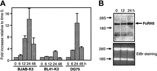 Figure 1. EBNA2 induces the expression of the FcRH5 gene. EBNA2 activity was induced in BJAB-K3, BL41-K3, and DG75 (clone SM295) cells by estrogen. RNA samples were collected before induction (time 0), and 6 to 48 hours after inducing EBNA2, as indicated. (A) cDNA were synthesized and used as template in quantitative real-time PCR with FcRH5 specific primers. Fold increases in mRNA content relative to the time 0 sample are shown. Mean and SEM of 2 to 5 independent experiments are shown. (B) Northern blots were performed using RNA samples obtained from BJAB-K3 cells, and a FcRH5-specific probe. On the right, the arrow indicates the position of the FcRH5 mRNA. On the left, the positions of the 18S and 28S rRNAs are indicated based on ethidium bromide staining. The bottom panel shows ethidium bromide staining of the gel. A representative experiment is shown.
