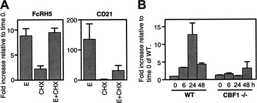 Figure 3. EBNA2 induces FcRH5 through CBF1, independent of new protein synthesis. (A) BJAB-K3 cells were treated in one of the following ways; with estrogen (E), with cyclohexamide, a protein synthesis inhibitor (CHX), or with both estrogen and cyclohexamide (E + CHX). RNA samples were collected before treatment (time 0), and 12 hours later. cDNA were synthesized and used as template in quantitative real-time PCR with FcRH5- and CD21-specific primers. Fold increases in mRNA content at 12 hours relative to the time 0 samples are shown. Mean and SEM of 3 independent experiments are shown. (B) EBNA2 activity was induced in wild-type (WT) and CBF1–/– DG75 cells with estrogen for 6 to 48 hours, as indicated. RNA samples were collected and cDNA were synthesized and used as template in quantitative real-time PCR with FcRH5 specific primers. Fold increases in mRNA content relative to the time 0 sample of the wild-type DG75 cells are shown. Mean and SEM of 2 independent experiments are shown.