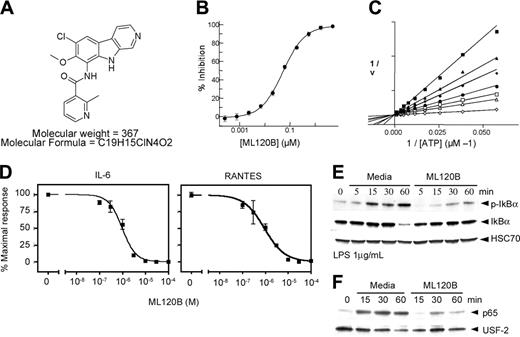 Figure 1. ML120B is a reversible competitive inhibitor of IKKβ and inhibits cytokine production and IκBα phosphorylation and degradation in stimulated bone marrow cells. (A) Molecular structure of ML120B. (B) Inhibition of the IKK complex by ML120B at 50 μM ATP, using biotinylated GST–tagged IκBα (5-55) as a substrate. The data represent the average of triplicate measurements, with error bars indicating SD. (C) ML120B is an ATP competitive inhibitor of the IKK complex. Phosphorylation of biotinylated GST–tagged IκBα (5-55) was measured at fixed inhibitor concentrations of 167 μM (▪), 111 μM (▴), 75 μM (♦), 50 μM (•), 33 μM (□), 22 μM (▵), and 0 μM (⋄). (D) Bone marrow was isolated from a C57BL/6 female mouse and red blood cells were lysed and plated into a 96-well plate (4 × 105 cells/well). Cells were preincubated with ML120B for 1 hour and then stimulated with LPS (1 μg/mL). Supernatants were collected after 4 hours and IL-6 and RANTES levels were evaluated. (E) Western blot analysis of bone marrow preincubated with ML120B (30 μM) or media with equivalent DMSO (0.5%) for 1 hour and then stimulated with LPS (1 μg/mL) for 5, 15, 30, and 60 minutes. (F) Nuclear translocation of p65. Bone marrow cells were stimulated as described in panel D and nuclear extracts were analyzed by immunoblotting. Error bars indicate SD.