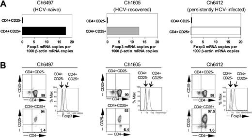 Figure 2. Expression of FoxP3. CD4+CD25+ T cells of HCV-naive, HCV-recovered, and persistently HCV-infected chimpanzees express FoxP3 at the RNA (A) and protein (B) levels. The data are representative of 12 experiments, performed with T cells from 2 HCV-naive, 4 HCV-recovered, and 3 persistently HCV-infected chimpanzees. Functional analyses of the same T-cell subpopulations are shown in Figure 3.