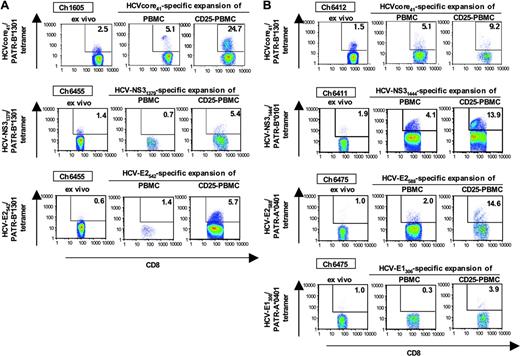 Figure 6. Effect of CD4+CD25+ cells on expansion of HCV-specific, peptide-stimulated CD8 T-cell populations. Depletion of CD25+ T cells from PBMCs of HCV-recovered chimpanzees (A) and persistently HCV-infected chimpanzees (B) resulted in increased expansion of tetramer-positive, HCV-specific CD8+ T cells on stimulation with cognate peptide. Seven representative experiments of a total of 15 are shown.