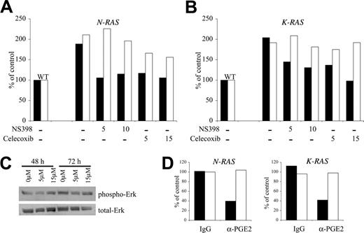 Figure 5. Cox-2 regulates adhesion of mutant RAS MM cells to fibronectin. (A) N-RAS–containing and (B) K-RAS–containing ANBL-6 cells were treated with cox-2–specific inhibitors, NS398 or celecoxib, at the concentration shown below the bars (in μM) or DMSO control vehicle for 72 hours and then assayed for adhesion to FN (▪) or BMSCs (□). Adhesion is expressed as binding relative to WT cells where wild-type cells were arbitrarily determined to be 100%. Results reflect average binding ODs of quadruplicate samples. The experiment was repeated once with identical results. (C) Mutant K-RAS cells were cultured with celecoxib for 48 or 72 hours and protein lysates were collected. Western analysis on the lysates was performed using phospho-specific Erk (Thr202/Tyr204) antibody and total Erk antibody. No effect of celecoxib on Erk phosphorylation was observed. (D) Both N-RAS– and K-RAS–containing ANBL-6 cells were cultured in the presence of 5 μg/mL α-PGE2 neutralizing antibodies or mouse IgG isotype control for 72 hours and then assayed for adhesion to FN (▪) or BMSCs (□). The results are reported in percentage as relative adhesion of untreated N-RAS or K-RAS ANBL-6 cells cultured in parallel.