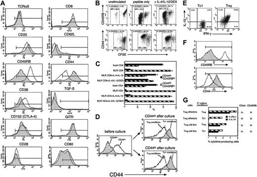 Figure 4. CD8 Tregs display a unique cell-surface phenotype which becomes stable after extensive culture. (A) OT-1 Tc1 (filled histograms) and Treg (open histograms) effectors were stained with a panel of antibodies. Positive staining relative to negative control is indicated by the markers. Similar results were obtained in 6 independent experiments. CD86 was barely detectable on either subset (not shown). (B) OT-1 cells fail to down-regulate CD45RB and up-regulate CD44 during culture in Treg-inducing conditions. CFSE-labeled OT-1 cells cultured in Tc1 or Treg conditions were analyzed after 3 days. CD8-gated events are shown. Boxed regions (% divided) indicate the similar extent of cell division observed under Tc1 and Treg conditions. Mean fluorescence intensities (MFIs) in these regions are indicated. Similar results were obtained in 3 independent experiments. (C) Conversion of naive to memory phenotype is inhibited by IL-4 + IL-12 in CD8 but not CD4 populations. The percentage of CD45RBhi CD44lo(naive phenotype) and CD45RBlo CD44hi (memory phenotype) cells was determined in CD8/CD4 BALB/c populations and after 7 days stimulation with C57BL/6 DC (MLR CD4/CD8) ± IL-4/IL-12/DEX. All cultured cells were CD62L negative (not shown). Means ± SEMs from 3 experiments are shown. (D) Both naive and memory CD8 T cells segregate into CD44hi and CD44lo populations after culture in Tc1- or Treg-inducing conditions, respectively. OT-1 CD8 cells were separated into CD44lo (naive) and CD44hi (memory) populations (left), mixed with DCs (20:1 ratio) and stimulated in Tc1- or Treg-inducing conditions as in panel B. CD44 expression of cells that were initially naive (top right) or memory (bottom right) phenotype was determined after 4 days. OT-1 Tc1/Treg cells were maintained in culture for 4 weeks using repeated restimulation with DCs, OVA257, and cytokines ± IL-4/IL-12/DEX. Intracellular cytokine analysis (E; as in Figure 1), or surface marker staining (F; as in Figure 4A) was performed. Filled histograms indicate Tc1 cell line; open histograms, Treg cell line. (G) Tregs were generated over a period of 4 days as in Figure 1 (Treg effectors) or 4 weeks as in panel E (Treg cell line). Washed cells were split and placed in secondary cultures with IL-15 + IL-7 + IL-4/IL-12/DEX (Treg conditions) or with IL-15 + IL-7 only (Tc1 conditions) for a further 4 days (effectors) or 7 days (cell lines). Treg cell lines also received DCs + OVA257-264 for the final 7 days. Finally, cells were reanalyzed for cytokine profile and phenotype. The percentage of cells positive for IFN-γ and IL-10 are shown (central histogram), and levels of CD44/CD45RB are indicated on the right. Data are representative of 3 independent experiments.