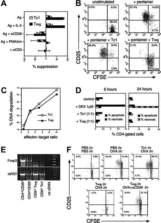 Figure 5. Mechanism of suppression used by CD8 Tregs. (A) Suppression is reversed by TCR or CD28-related signals but not IL-2. Suppression assays were performed as in Figure 2A by using CFSE-labeled OT-2 cells ± OT-1 Tc1/Treg, stimulated with OVA257 + OVA323 (Ag) ± IL-2 (10 ng/mL), anti-CD28 (1 μg/mL), PMA (10 ng/mL) + ionomycin (400 ng/mL), or immobilized anti-CD3 alone (1 μg/mL). The percentage of suppression of divided targets generated in a fixed volume of culture (means ± SEMs from 3 independent experiments) is shown. (B) Direct T/T suppression in the absence of APCs. CFSE+ OT-1 CD8 cells depleted of all APCs (< 0.1%) were labeled with OVA257–H-2Kb Pentamer. OT-1 Tc1 cells/Tregs were added at a 1:2 suppressor-to-target ratio, and CD25 was analyzed in CFSE+-gated targets after 2 days. One of 3 independent experiments with similar results is shown. (C) Tregs possess equivalent cytotoxicity to Tc1 cells. OT-1 Tc1cells/Tregs were mixed with 3H-thymidine–labeled EG-7 cells, and CTL activity was measured after 4 hours. The percentage of DNA degradation in labeled targets is shown. (D) Tc1 cells/Tregs do not kill OT-2 targets in a suppression assay. OT-2 cells were stimulated with OVA257 + OVA323 ± OT-1 Tc1/Treg (1:1) for 6 or 24 hours, then stained with anti-CD4, annexin V, and propidium iodide (PI). Levels of apoptotic (annexin V+ PI–) and necrotic (annexin V+ PI+) CD4 cells are shown. Similar results were obtained in 3 independent experiments. (E) CD8 Tregs do not express Foxp3. RT-PCR for Foxp3 (top) and HPRT control (bottom) were performed on OT-1 Tc1 cells/Tregs after 3 days and from CD4+CD25– or CD4+CD25+ cells stimulated with anti-CD3/anti-CD28/IL-2 as a positive control. Molecular weight markers (right-hand lane) confirmed correct size of PCR products. Data are representative of 3 independent experiments. (F) In vivo suppression of T-cell activation is abrogated by costimulation. CFSE+ OT-2 cells were transferred into C57BL/6 mice with or without unlabeled OT-1 Tc1 cells or Tregs (3:1), and mice were challenged with OVA ± anti-CD28 intranasally as indicated. Target cell activation in draining lymph nodes (CD4+ CFSE+ gated events) is shown after 2 days.