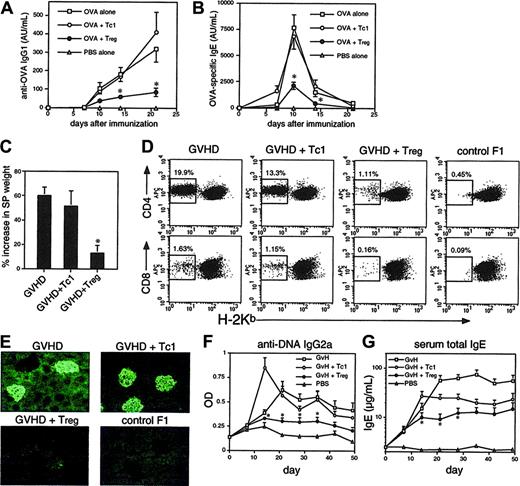 Figure 6. CD8 Tregs suppress Th1- and Th2-associated immunity in vivo. (A-B) C57BL/6 mice were immunized with 400 μg OVA/alum + PBS (OVA alone) or 2.5 × 106 OT-1 Tc1 and Treg cells intraperitoneally. Serum anti-OVA IgG1 (A) and IgE (B) antibodies were monitored by serial bleeding. Antibody titers are shown in arbitrary units. (C-G) Alloantigen-primed CD8 Tregs prevent development of chronic GVHD. Tc1 cells or Tregs were generated in MLRs as in Figure 2D. GVHD was induced by injection of CB6F1 mice with 7 × 107 BALB/c splenocytes, ± Tc1 cells or Tregs (3 × 106). Control F1 mice received PBS only. After 7 weeks spleens were harvested and weighed to assess splenomegaly (C) and engraftment of donor BALB/c cells in each spleen measured by staining for H-2Kb (D). Donor cells lack H-2Kb; the percentage of donor engraftment in CD4 and CD8 populations is indicated. (E) Kidneys harvested at 7 weeks were sectioned and stained with anti–IgG1-FITC before fluorescence microscopy. Deposition of IgG1 immune complexes in glomeruli is indicated by the green fluorescent structures. (F-G) Suppression of autoantibody production (F) and hyper-IgE syndrome (G) by CD8 Treg cells. Mice as in panel C were monitored for anti-DNA IgG2a autoantibodies (F) and total serum IgE (G). Data shown are means ± SEMs from groups of 4 mice (A-C and F-G) or are representative of groups of 4 mice (D-E). Similar data were obtained in a further experiment with groups of 3 mice. *P < .05 when comparing Tregs with the Tc1 control group.