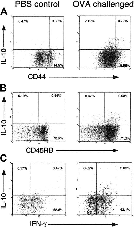 Figure 7. CD44lo CD45RBhi IL-10+ CD8 T cells appear in an inflammatory site in vivo. C57BL/6 mice were injected with 107 OT-1 CD8 and 107 OT-2 CD4 cells intravenously on day 0. On days 0 and 3 they were challenged intranasally with 50 μg OVA + 10 μg CpG 1826 oligonucleotide in 50 μL PBS (right) or PBS alone (left). On day 6, mice were killed, and T cells were extracted from lung tissue by collagenase digestion. T cells (106) were labeled with anti-CD44 + anti-CD8 (A), anti-CD45RB + anti-CD8 (B), or anti-CD8 alone (C), then restimulated with anti-CD3 + anti-CD28 for 5 hours followed by intracellular cytokine staining. Gated CD8+ cells are shown in all plots. Representative results from groups of 4 mice are shown. Similar data were obtained in 3 independent experiments.
