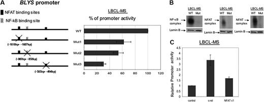 Figure 7. Both NF-κB and NFAT binding sites in the BLyS promoter are important for its activity. (A) Diagram of the BLYS promoter showing locations of site-directed mutagenesis. Luciferase activity in NHL-B (LBCL-MS) cells that had been transfected with wild-type, NF-κB, or NFAT mutant BLYS promoter-luciferase reporter constructs. (B) EMSA analysis of NF-kB or NFAT binding levels in NHL-B (LBCL-MS) cells incubated with wild-type BLYS–NF-κB or BLYS-NFAT binding site oligonucleotide probes or the corresponding mutant oligonucleotide probes from the BLYS promoter. Lamin B is used as nuclear extract loading control. (C) Luciferase activity in NHL-B (LBCL-MS) cells that had been transfected with control vector, c-rel expression vector, or NFATc1 expression vector. The error bars in panels A and C indicate the standard deviation of triplicate samples.