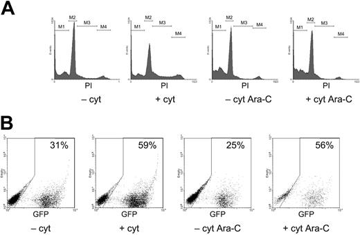 Figure 2. S-phase suicide assay of HSPCs assayed in vitro. Human CD34+ cells were stimulated (+cyt) or not (–cyt) with cytokines for 18 hours, then exposed or not to Ara-C for another 12 hours, as indicated, and analyzed immediately (A) or after 1 week (B) of culture. For B, the cells were also transduced with LV-GFP during the first 18 hours of incubation. (A) Cell-cycle analysis: representative FACS histograms of propidium iodide (PI) staining; distribution of the analyzed cell populations in the indicated cell-cycle phases is shown in Table 2. M1 indicates apoptotic/necrotic cells; M2, G0/G1 phases; M3, S phase; and M4, G2/M phases. (B) Representative FACS analysis of GFP expression in suspension culture. Percentages of GFP-positive cells are given.