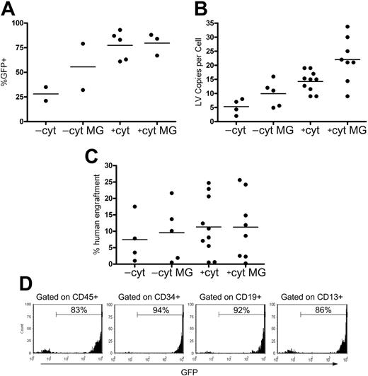 Figure 7. Effect of proteasome inhibition on SRC transduction. CD34+ cells were transduced with LV-GFP without any stimulation (–cyt), in the presence of 0.7 μM MG132 (–cyt MG), in the presence of cytokines (+cyt), or in the presence of both cytokines and 0.7 μM MG132 (+cyt MG) and transplanted into NOD/SCID mice. Six weeks after transplantation, mouse BM was analyzed by FACS (A) or by quantitative real-time PCR (B-C). (A) Percentage of GFP-positive cells in the human graft. (B) Number of LV integrated copies per human cell. (C) Percentage of human engraftment, calculated as the ratio between human and total (human + murine) DNA. Each dot represents a mouse; for each group, the average (—) is shown. (D) FACS analysis of a mouse undergoing transplantation with cells transduced in the presence of cytokines and MG132 and carrying 34 LV copies per cell; multilineage repopulation is shown by a similar percentage of GFP-positive cells in all the indicated lineages. Percentages were calculated within the gated populations. Human engraftment level was 15%.