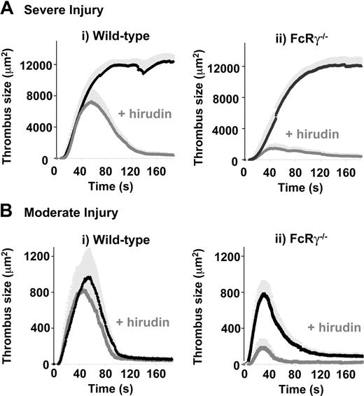 Figure 6. Effect of hirudin on laser-induced thrombus formation in wild-type and FcRγ-deficient mice. Severe (A) or moderate (B) laser-induced lesions were generated in the mesenteric arteries of wild-type (i) and FcRγ–/– (ii) mice treated with vehicle alone or hirudin (10 mg/kg subcutaneously). Traces represent the mean surface area (± SEM) of thrombi developing over 150 seconds (severe injury: (i) WT, n = 12 vessels in 8 mice; WT + Hir, n = 5 vessels in 3 mice; (ii) FcRγ–/–, n = 12 vessels in 7 mice; FcRγ–/– + Hir, n = 5 vessels in 4 mice; moderate injury (i) WT, n = 19 vessels in 7 mice; WT + Hir, n = 11 vessels in 4 mice; (ii) FcRγ–/–, n = 29 vessels in 9 mice; FcRγ–/– + Hir, n = 7 vessels in 4 mice).