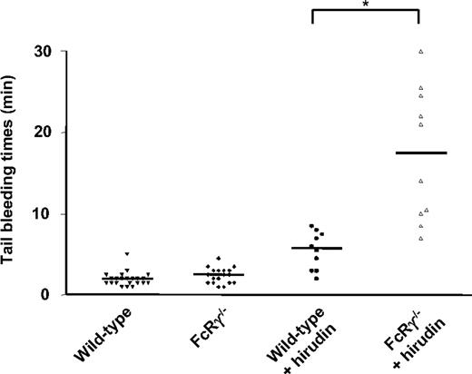 Figure 7. Effect of hirudin on the tail bleeding time of wild-type and FcRγ-deficient mice. Tail bleeding time was measured before and 5 minutes after hirudin (10 mg/kg) administration in FcRγ–/– mice (2.5 ± 0.2 minutes before and 17.3 ± 2.6 minutes after, n = 10; P < .001, paired Student t test) or wild-type mice (2.0 ± 0.2 minutes before and 5.5 ± 0.7 minutes after, n = 10; P = .001, paired Student t test), as described in “Materials and methods.” Baseline tail bleeding times of a further 12 wild-type mice (total, n = 22) and 8 FcRγ–/– mice (total, n = 18) were examined and demonstrated not to be significantly different from each other (P > .05). Horizontal bars represent the mean bleeding time values for each group of animals. *P < .05, Student t test.