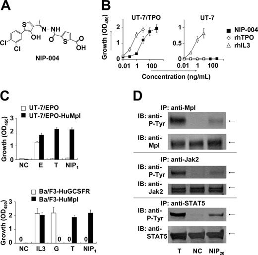 Figure 1. NIP-004 is a novel human c-Mpl activator. (A) Chemical structure of NIP-004. (B) Dose-dependent proliferation of UT-7/TPO cells, but not parental UT-7 cells, by NIP-004. Recombinant human TPO and rhIL-3 induced proliferation of UT-7/TPO and parental UT-7 cells, respectively. (C) TPO and NIP-004 induced proliferation of UT-7/EPO-HuMpl but not UT-7/EPO (top panel). EPO stimulated proliferation of UT-7/EPO and UT-7/EPO-HuMpl as a positive control. NIP-004 stimulated proliferation of Ba/F3-HuMpl but not Ba/F3-HuGCSFR (bottom panel). GCSF stimulated Ba/F3-HuGCSFR cells. TPO induced proliferation of Ba/F3-HuMpl cells as a positive control. IL-3 stimulated both Ba/F3-HuGCSFR and Ba/F3-HuMpl. Data in panels B-C are expressed as the mean ± SEM (n = 3 to 4) or mean ± SD (n = 2; Ba/F3-HuGCSFR) from independent duplicate experiments. (D) Induction of tyrosine phosphorylation of c-Mpl, Jak2, and STAT5 in UT-7/EPO-HuMpl cells by TPO and NIP-004. NC indicates negative control; E, 0.1 U/mL rhEPO; IL-3, 0.1 ng/mL rmIL-3; G, 10 ng/mL rhGCSF; T, 10 ng/mL rhTPO; NIP1, 1 μg/mL NIP-004; NIP20, 20 μg/mL NIP-004; P-Tyr, phosphotyrosine.