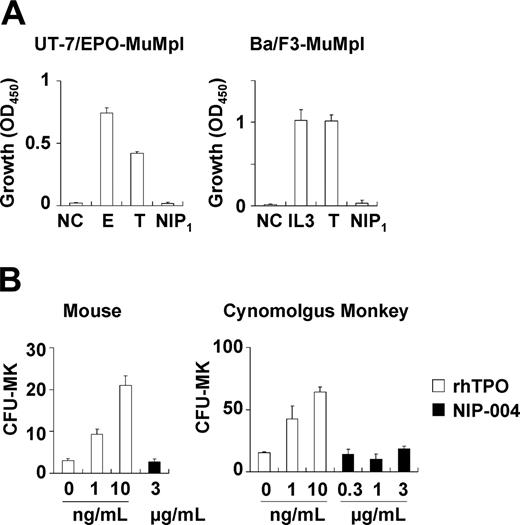 Figure 3. NIP-004 displays species-specific activity. (A) NIP-004 failed to stimulate proliferation of UT-7/EPO-MuMpl– and Ba/F3-MuMpl–expressing murine Mpl. In contrast, EPO and TPO stimulated induced proliferation of UT-7/EPO-MuMpl as a positive control. IL-3 and TPO enhanced proliferation of Ba/F3-MuMpl as a positive control. Data are expressed as the mean ± SEM from 3 independent experiments. (B) Recombinant human TPO stimulated CFU-MK colony formation from murine and cynomolgus monkey–derived bone marrow cells in a dose-dependent manner. In contrast, NIP-004 failed to induce CFU-MK colonies under the same conditions. Data are expressed as the mean ± SD of duplicate assays. NC indicates negative control; E, 0.1 U/mL rhEPO; IL-3, 0.1 ng/mL rmIL-3; T, 10 ng/mL rhTPO; NIP1, 1μg/mL NIP-004.