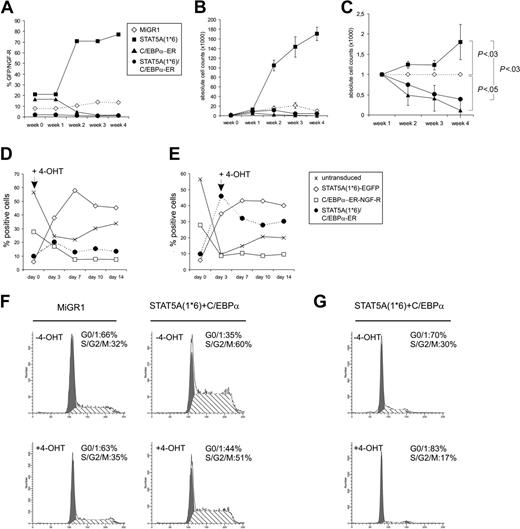 Figure 3. Re-expression of C/EBPα results in a loss of STAT5A1*6-induced proliferative advantage of human CD34+ cells. (A) Human CB CD34+ cells were transduced with MiGR1, STAT5A1*6-IRES2-EGFP, C/EBPα-ER-IRES2-NGF-R, or both STAT5A1*6 and C/EBPα-ER, as indicated. Cells were plated on MS5 stroma in the presence of 4-OHT, and the proliferation was monitored weekly by FACS analysis for GFP or NGF-R. (B) Experiment performed as described in panel A, but cells were sorted after transduction, and expansion was monitored by determining the cell counts weekly. (C) Combined data of 3 representative experiments in which the relative expansion is indicated as compared to the MiGR1 control that was set to 1 at each time point. Significant differences were determined using a Student t test. (D-E) Experiments as in panel B, but now 4-OHT was added at day 0 (D) or day 3 (E). Cultures were monitored for 14 days. Data are presented as the percentage of untransduced, STAT5A1*6 (EGFP+), C/EBPα-ER (NGF-R+), or double-transduced cells within 1 batch of transduced cells that was expanded on MS5 over a 2-week period. (F) Cells were transduced as indicated, plated onto MS5 stroma to allow expansion for 7 days, after which 4-OHT was added for an additional 24 hours. After 4-OHT stimulation, the cell-cycle distribution was determined by FACS. (G) Experiment as in panel F, but now cells were treated with 4-OHT for 48 hours.