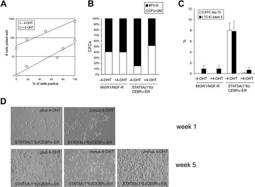 Figure 4. Expression of C/EBPα results in a loss of STAT5A1*6-induced self-renewal and long-term expansion. (A) Human CB CD34+ cells were transduced with both STAT5A1*6-IRES2-EGFP and C/EBPα-ER-IRES2-NGF-R, and cells in gate R3 were sorted on the MoFlo. Cells were plated in the presence or absence of 4-OHT in methylcellulose assays in 96-well plates in limiting dilutions of 1, 3, 9, 27, 81, and 243 cells per well. Two weeks later, CFC counts were scored. (B) Cells were transduced with both MiGR1/NGF-R empty vectors or STAT5A1*6-IRES2-EGFP and C/EBPα-ER-IRES2-NGF-R as indicated. Cells were sorted and plated in bulk methylcellulose cultures, and the ratio between BFU-E and CFU-GM type colonies is shown in the absence or presence of 4-OHT. (C) Experiment performed as described in panel B, but sorted cells were plated onto MS5 stroma in 96-well plates in limiting dilutions of 5 to 1000 cells per well. After 5 weeks, methylcellulose was added to the wells, and 2 weeks later wells were scored as positive or negative to determine LTC-IC frequencies. Data from a representative experiment are shown. (D) Representative microscopy images of several MS5 cocultures at weeks 1 and 5.