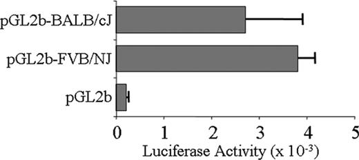 Figure 2. Transcriptional activity of Itga2 promoter-LUC reporter constructs transfected into Dami cells. The proximal 5′-regulatory region/promoter sequence (from –2058 to the ATG start codon at +113) of Itga2 haplotype 1 (from BALB/cJ) or haplotype 2 (from FVB/NJ) were cloned and assayed for transcriptional activity using a LUC reporter construct Relative luciferase activity is indicated on the abscissa. pGL2b is the LUC reporter vector without an Itga2 insert. Each entry represents the mean ± SD for 3 independent assays.