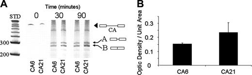 Figure 5. In vitro splicing of Itga2 pre-mRNA. (A) Itga2 pre-mRNA containing CA6 or CA21 was incubated under splicing conditions with a nuclear extract from B16F10 cells for 0, 30, or 90 minutes. The spliced RNA products were then separated on a 6% denaturing polyacrylamide gel, and RNA bands were detected by staining with SYBR gold. The positions of size standards representing 200 or 300 nucleotides is indicated to the left of the gel. The position of pre-mRNA (black arrowhead) and spliced products (arrows A and B) are indicated. Product B represents the correctly spliced exon 1-exon 2 product. The yield of product B is significantly greater in the presence of CA21, relative to CA6. (B) In vitro splicing efficiency. The relative amounts of the correctly spliced exon1-exon2 products (band B in panel A) were determined by optical densitometry using image J.38 Optical densities divided by unit area (square pixels) for 3 independent assays were obtained, and the mean ± SD is depicted. The mean density obtained in the case of the CA21 probe (0.23) is significantly higher than that obtained for the CA6 probe (0.15).