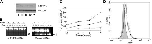 Figure 7. hnRNP L siRNA knockdown. (A) B16F10 cells were transfected for 24 hours with (i) siRNA control or (ii-v) 5 nM, 10 nM, 20 nM, or 50 nM, respectively, of HNRNP L siRNA. Nuclear protein was extracted and separated by SDS-PAGE (30 μg per lane). The presence of hnRNP L was detected by Western blot with anti-hnRNP L. (B) B16F10 cells were transfected with 50 nM hnRNP L siRNA (left) or control siRNA (right) for 24 hours. The cells were then transfected with 2 μg pcDNA3.1 (–) C6 or C21 exactly as described in panel B. The amount of spliced mRNA (open arrowheads) was calculated using image J38 and expressed as the percentage of total mRNA (nonspliced plus spliced mRNA). (C) The percentage of spliced mRNA obtained following transfection with hnRNP L siRNA or control siRNA. Following treatment with hnRNP L siRNA, the levels obtained for CA21 (○) or CA6 (⋄) are dramatically reduced. After treatment with the siRNA control, the levels obtained for CA21 (•) or CA6 (♦) are not different from that observed in the absence of siRNA. Each data entry represents the mean of triplicate measurements in a single experiment that is representative of 3 independent experiments. (D) Effect of hnRNP L siRNA on B16F10 surface expression of endogenous α2β1. B16F10 cells were transfected twice with 50 nM HNRNP L siRNA (gray curve), 50 nM control siRNA (solid black line), or Lipofectamine 2000 alone (dotted line) over a 72-hour period. Twenty-four hours after the second transfection, flow cytometry was used to quantitate surface α2β1. The results, reported as the GMFI ± SD, are as follows: hnRNP L siRNA, 19.28 ± 0.8; control siRNA, 28.99 ± 1.77; lipofectamine, 31.12 ± 1.46. These results were obtained in 1 representative experiment of 4 independent experiments.
