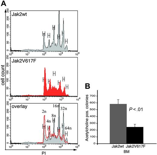 Figure 7. Loss of polyploid megakaryocytes in Jak2V617F animals. (A, top) Unremarkable 2n, 4n, 8n, 16n, 32n, and 64n peaks in megakaryocytes of Jak2wt in gray. (Middle) Normal 2n and 4n peaks in Jak2V617F but loss or decrease of 8n to 64n peaks in the mutant in red. (Bottom) Overlay. Megakaryocytes were distinguished by size and positive staining for CD41, and polyploidy was distinguished by propidium iodide staining. (B) Megacult assay showing an approximately 2-fold decrease in the BM of Jak2V617F-expressing animals (P < .01).