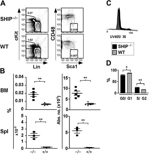 Figure 1. Significant increase in the percentage and absolute number of KLSCD48– cells in SHIP–/– BM. (A) Representative FACS plots showing detection of KLSCD48– HSCs in SHIP–/– and WT BM. (B) Percentage and absolute number of KLSCD48– cells in the BM (per femur and tibia pair) and spleen (Spl) of SHIP–/– (▪) and WT (▴) mice. (C) Histogram of DNA content in SHIP–/– and WT KTLS cells. (D) Bar graph showing the percentage of SHIP–/– (▪) or WT (▦) KTLS/KFLS cells in each stage of cell cycle as calculated using the Watson Pragmatic model in the FlowJo cell-cycle platform. Statistical analysis was performed using Prism 4. Significance was established using the unpaired student t test (Prism 4; GraphPad Software, San Diego, CA). **P < .001 and *P < .01 (mean ± SEM; n ≥ 3).