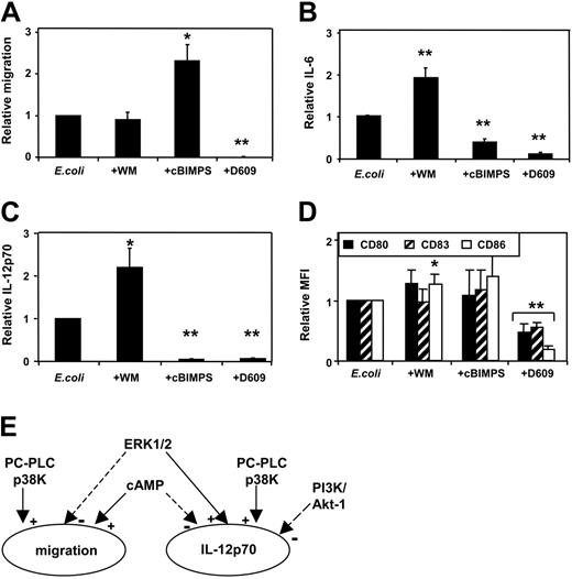 Figure 2. Independent regulation of migration and cytokine secretion by cAMP (cBIMPS), PI3K, and PC-PLC/PLD: E coli –induced DC activation. MoDCs were activated using intact E coli in the presence or absence of inhibitors. Inhibitors were added to MoDCs 20 to 40 minutes prior to E coli exposure. Wortmannin and cAMP were used as in Figure 1. D609 (tricyclodecan-9-yl xanthate potassium) was used at a concentration of 300 μM. Cells and supernatants were harvested 36 to 48 hours later. (A) Migration toward CCL21 (means ± SEM, n = 8-9 separate donors; *P < .05, **P < .01 compared with activation without inhibitor). Secretion of IL-6 (B) and IL-12p70 (C) measured by ELISA (mean values ± SEM, n = 5-12 separate donors for IL-6 and n = 10-13 for IL-12p70; *P < .05, **P < .01 compared with activation without inhibitor). (D) MFI of CD80, CD83, and CD86 expression for MoDCs activated with E coli in the presence of inhibitors relative to MoDCs activated without inhibitors (means ± SD, n = 4-6 separate donors; *P < .05, **P < .01 compared with activation without inhibitors). (E) Schematic of the independent regulation of migration and IL-12p70 secretion of DCs. Both functions are enhanced by p38K and PC-PLC, whereas the PI3K/Akt-1 pathway inhibited only IL-12p70 secretion. In contrast, cAMP enhanced migration and inhibited IL-12p70, whereas ERK1/2 inhibited migration and enhanced IL-12p70.