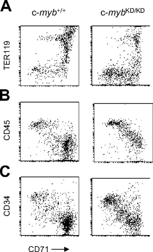 Figure 1. Accumulation of immature progenitor cells in the fetal liver of c-mybKD/KD embryos. Presented are fluorescence values (log-scale) from flow cytometric analyses of fetal liver single-cell suspensions from E13 c-myb+/+ and c-mybKD/KD embryos stained with monoclonal antibodies. Gated live cells are shown. (A) Cells were stained with α-CD71(FITC) and α-TER119(APC). (B-C) Cells were stained with α-CD71(FITC), α-c-Kit(PE-Cy5), and either α-CD45(APC) (B) or α-CD34(PE) (C). Gated c-Kit+ cells are shown.