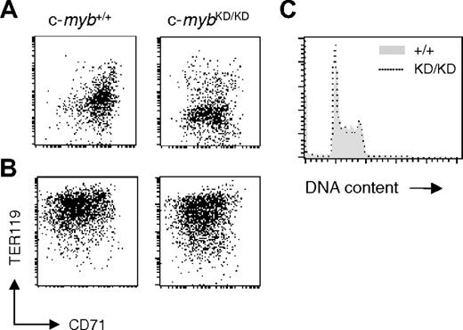 Figure 3. Reduced levels of c-Myb are sufficient for intense proliferation of immature erythroid progenitors. Fetal liver cells from E14 c-myb+/+ and c-mybKD/KD embryos were plated in SP34 medium containing SCF (100 μg/mL), EPO (2 U/mL), and dexamethasone (1 μM). (A) At day 9 of culture, cells were stained with α-CD71 (FITC) and α-TER119 (APC) and analyzed by flow cytometry. (B) At day 9 of culture, cells were transferred to media favoring terminal erythroid differentiation and cultured for 3 additional days before being analyzed by flow cytometry for CD71 and TER119 expression. (C) At day 9 of culture in SP34, cells were permeabilized with 0.1% NP-40 and stained with 25 μg/mL propidium iodide for flow cytometric analysis of DNA content. Histograms represent linear fluorescence intensities.