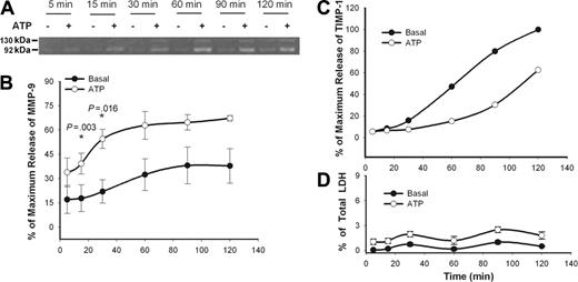 Figure 2. Time-course of ATP-induced MMP-9, TIMP-1, and LDH release. PBMCs (2 × 107/mL) with wild-type P2X7 receptors were incubated with (○) or without (•) 1 mM ATP at 37°C in NaCl medium containing 1 mM CaCl2. Supernatants and cell pellets were collected at different time intervals as indicated. MMP-9 activity in supernatants was detected by gelatin zymography (A). MMP-9 (B) and TIMP-1 (C) concentrations in supernatants were measured using ELISA kits. MMP-9 and TIMP-1 concentrations in supernatant from cells incubated with 100 nM PMA were used as the maximum release (100%). LDH release was measured in both supernatants and cell pellets (D). Results from individuals were normalized and shown as mean ± SEM (n = 4)(B-D). TIMP-1 data are shown for 1 representative experiment of 2.