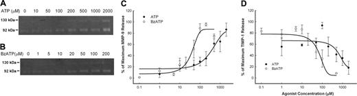 Figure 3. Concentration curve of ATP- and BzATP-induced rapid MMP-9 and TIMP-1 release. PBMCs (2 × 107/mL) with wild-type P2X7 receptors were incubated with various amount of ATP (•) or BzATP (○) as indicated at 37°C in NaCl medium containing 1 mM CaCl2 for 30 minutes. Supernatants were collected, and MMP-9 activity (A) was detected by gelatin zymography, and MMP-9 and TIMP-1 concentrations were measured using ELISA kits (B, C). Results from individuals were normalized and shown as mean ± SEM (n = 4 for ATP; n = 5 for BzATP).