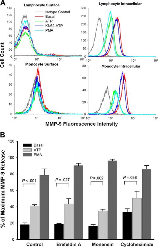 Figure 6. Pathway for ATP-induced rapid MMP-9 release. (A) PBMCs (1 × 107/mL) were pretreated with or without ATP, or with KN62 plus ATP or PMA as indicated in “Materials and methods.” Fresh cells (surface staining) or fixed cells (intracellular staining) were stained with anti–MMP-9 mAb and FITC-conjugated secondary Ab. The lymphocyte or monocyte populations were identified and gated by forward and side scatter. Flow cytometry histograms show representative data from 1 of 5 subjects with wild-type P2X7 receptors. (B) PBMCs (1 × 107/mL) with wild-type P2X7 receptors were pretreated with or without brefeldin A (10 μg/mL), monensin (5 μg/mL), or cycloheximide (50 μg/mL) for 60 minutes in NaCl medium with 0.1 mM CaCl2 and washed once. Cells then were resuspended at 2 × 107/mL in the same medium with the same concentration of inhibitors, followed by incubation with or without 1 mM ATP (gray bar) or 100 nM PMA (dark gray bar) at 37°C for 30 minutes. MMP-9 concentrations in supernatant were measured by ELISA. Results from individuals were normalized and shown as mean ± SEM (n = 4).