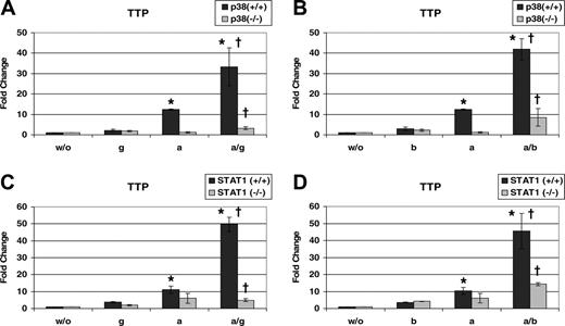Figure 1. p38 MAPK and STAT1 synergistically increase Ttp mRNA expression. p38α+/+ and p38α–/– MEFs were left untreated (w/o) or treated for 1 hour with IFN-γ (g), anisomycin (a) or both (a/g) (A), or treated with IFN-β (b), anisomycin (a) or both (a/b) (B). STAT1+/+ and STAT1–/–fibroblasts were stimulated as described for panels A and B, respectively (C,D). Total RNA was isolated and Ttp mRNA levels were determined using qRT-PCR. To obtain Ttp mRNA induction, values were normalized to those of untreated cells. Error bars indicate SD. *P < .01 (a/g) or (a/b) versus (a) treatment in +/+ cells; †P < .01 +/+ versus –/–MEFs by univariate linear regression models; n = 3 experiments.