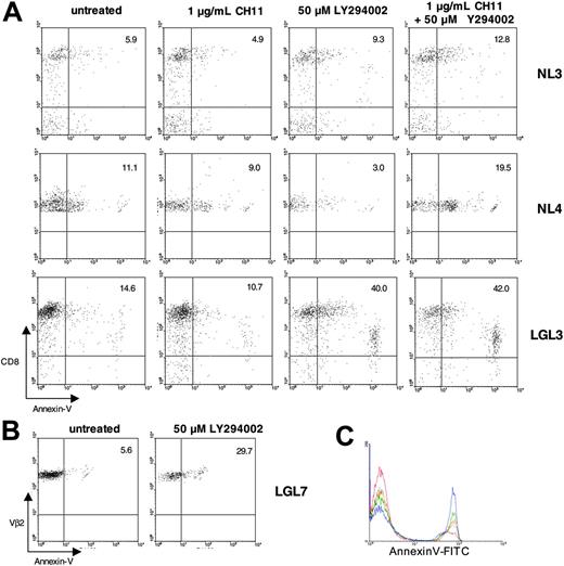 Figure 4. Apoptosis induction after PI3K pathway inhibition in T-LGL. (A) Healthy-donor PBMCs and T-LGL PBMCs were incubated overnight in RPMI with 10% FCS at 37°C either untreated or treated with CH11 (anti-Fas; 1 μg/mL), LY294002 (50 μM), or CH11 (1 μg/mL) + LY294002 (50 μM), as indicated. After 20 hours the cells were stained for FITC–annexin V and PC5-CD8 and analyzed via FACS. For analysis, cells were gated on the lymphocyte population based on forward and scatter profile. The percentage of CD8+ cells that are annexin V positive are indicated by the numbers in the top right quadrants. (B) PBMCs from a T-LGL patient with a large Vβ2 clonal expansion (90% of all PBMCs) were incubated overnight in RPMI with 10% FCS at 37°C either untreated, or with 50 μM LY294002. After 20 hours, the cells were stained for FITC–annexin V and PE-Vβ2 and analyzed via FACS. For analysis, cells were gated on the Vβ2 population. The percentage of Vβ2+ cells that are annexin V positive are indicated by the numbers in the top right quadrants. (C) T-LGL PBMCs were incubated overnight in RPMI with 10% FCS at 37°C either untreated (red) or with 6.25 μM LY294002 (gray), 12.5 μM LY294002 (orange), 25 μM LY294002 (green), or 50 μM LY294002 (blue). After 16 hours the cells were stained for FITC–annexin V and PC5-CD8 and analyzed via FACS. For analysis, cells were gated on the lymphocyte population based on forward and scatter profile.