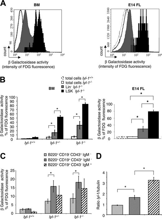 Figure 2. Expression of Lyl-1 in BM and E14 FL cells. Expression of Lyl-1 in total, Lin–, LSK BM, and E14 FL cells from wt and Lyl-1–/– mice was monitored by measuring β-galactosidase activity. Cells were stained with biotinylated anti-Lin, PE–anti-Sca-1 and APC–anti–c-Kit mAb and streptavidin PE–Cy-7 and were incubated with the FDG substrate. (A) Flow cytometric profiles depicting the intensity of fluorescence in each subpopulation of wt and Lyl-1–/– BM and E14 FL. (B) Histograms show the percentage of fluorescent cells in each subpopulation of BM from wt, heterozygote, and homozygote mice and of E14 FL cells of Lyl-1–/– mice. (C) Expression of Lyl-1 during B-cell differentiation in the BM from wt, heterozygote, and homozygote mice. B cells were separated into 3 different populations: pro–B (B220+ CD19–CD43+ IgM–), pre–B (B220+ CD19+ CD43+ IgM–), and immature B (B220+CD19+ CD43– IgM+) cells. Histograms represent the percentages of fluorescent cells in each B-cell subpopulation of wt, Lyl-1+/–, and Lyl-1–/– BM. (D) Lyl expression was measured by quantitative RT-PCR in pro–B (B220+ CD19–CD43+ IgM–), pre–B (B220+ CD19+ CD43+ IgM–), and immature B (B220+ CD19+ CD43–IgM+) cells. Histograms represent the ratio between Lyl-1 and GAPDH mRNA used as a housekeeping gene. (B-C) Mean of 3 independent experiments (*P < .05). Error bars indicate SEM.