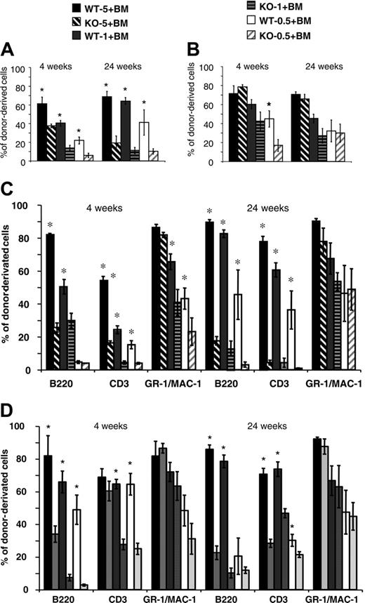 Figure 5. Chimerism analysis after competitive repopulation assay with Lyl-1–/– and Lyl-1+/+ BM cells. Ly5.2 BM Lyl-1+/+ (wt-5, wt-1, and wt-0.5, respectively) or Lyl-1–/– (KO-5, KO-1, and KO-0.5, respectively) cells (5 × 106, 1 × 106, and 5 × 105) were mixed with 1 × 106 Ly5.1 BM cells and transplanted into lethally irradiated C57B6 Ly5.1 mice. Diagrams represent the percentage of donor-derived cells in PB (A) and BM (B) of reconstituted mice (6 mice per group) at 4 and 24 weeks after injection. An example of 2 independent experiments is shown. Data represent mean ± SEM (*P < .05). The contribution of donor-derived cells to each reconstituted lineage is determined by analyzing the percentage of CD45.2+, B220+; CD45.2+, CD3+; and CD45.2+, GR-1/MAC-1+ cells in PB (C) and in BM (D). Data represent mean ± SEM of 2 independent experiments (*P < .05).