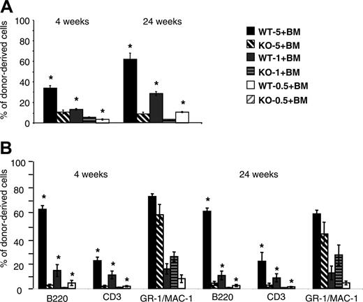 Figure 6. Analysis of the donor cell contribution after secondary transplantation of BM cells from primary animals grafted with Lyl-1+/+ or Lyl-1–/– BM cells. (A) Analysis of chimerism measured by the percentage of CD45.2+ cells in the blood after secondary transplantation. Secondary Ly5.1 recipient mice were injected with the same ratio as in primary graft (wt-5, wt-1, wt-0.5, KO-5, KO-1, and KO-0.5) of sorted Ly5.2 primary BM cells, and global chimerism was analyzed in PB 4 and 24 weeks after secondary transplantation. (B) The contribution of donor-derived cells to each reconstituted lineage is determined by analyzing the percentage of CD45.2+, B220+; CD45.2+, CD3+; and CD45.2+, GR-1/MAC-1+ cells in the PB of secondary recipients. Data represent mean ± SEM of 2 independent experiments (*P < .05).